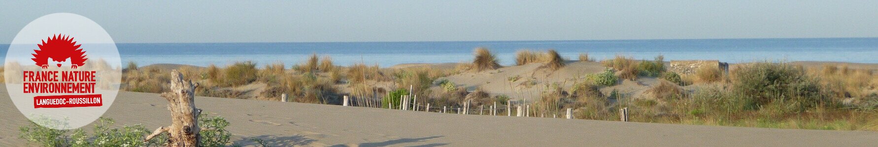 Aidez-nous à préserver notre littoral !