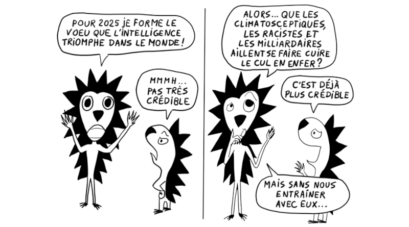 Hérissons-nous ! Notre lettre d’info n°37 – janvier 2025