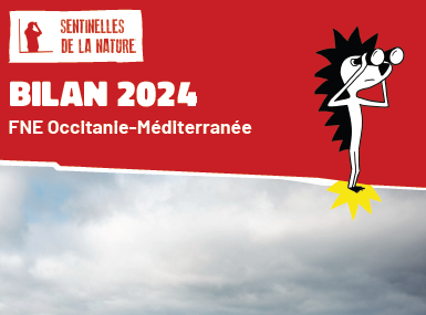 Sentinelles de la Nature : le bilan de nos actions 2024