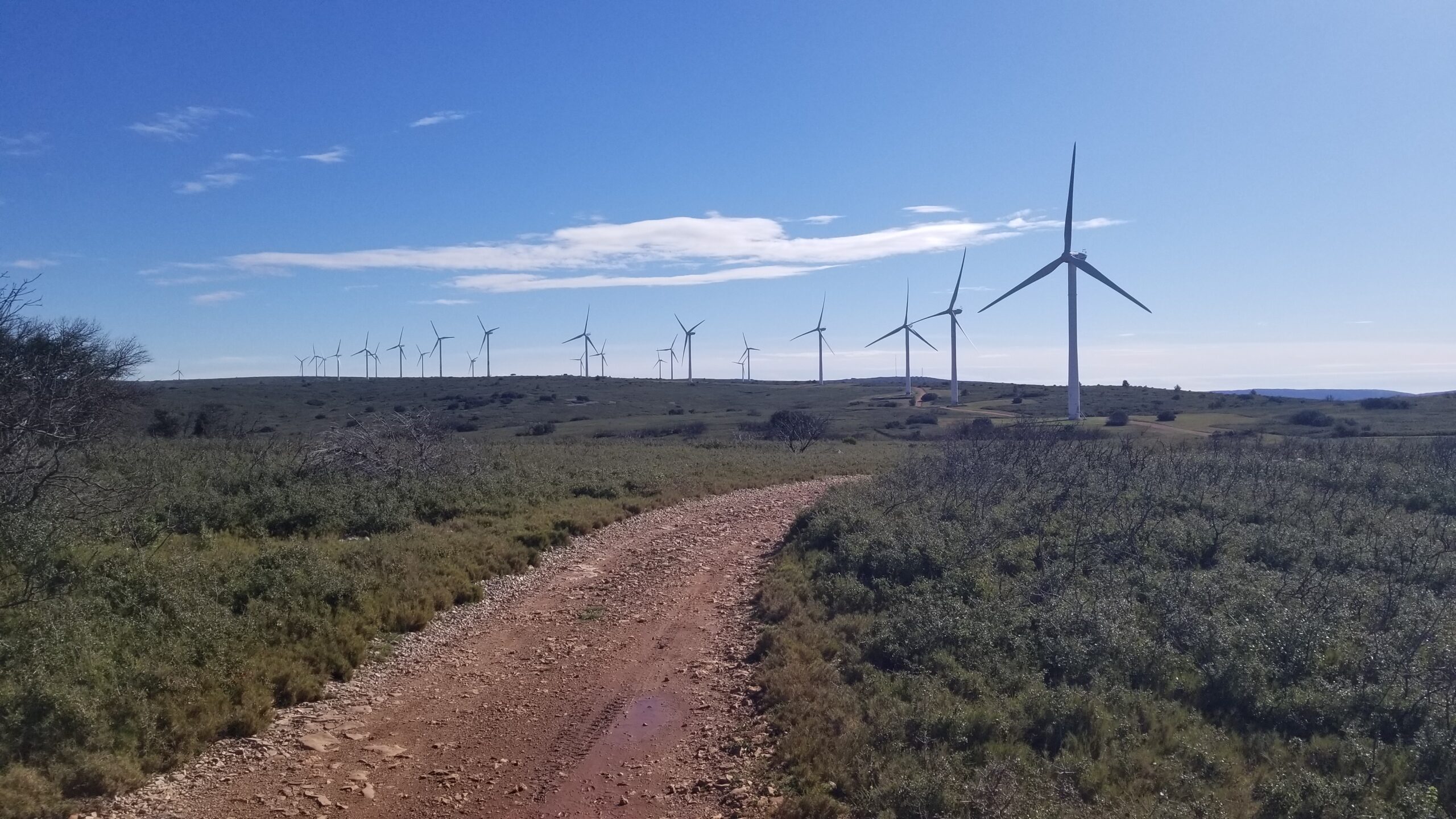 Première condamnation pénale d’un exploitant d’éoliennes pour destruction d’espèces protégées