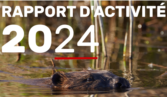 Découvrez notre rapport d’activité 2024 !