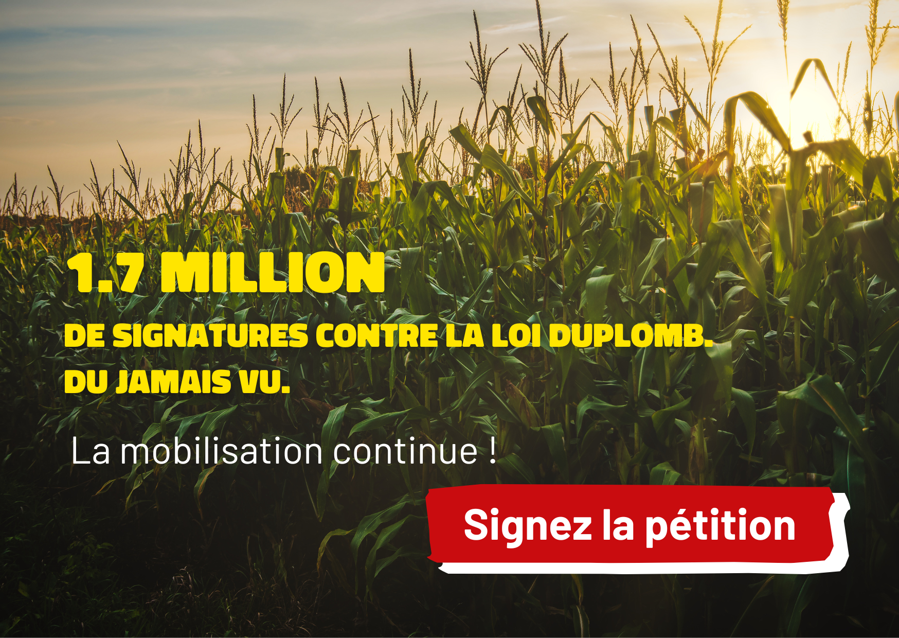 Hérissons-nous ! Notre lettre d’info n°40 – juillet 2025