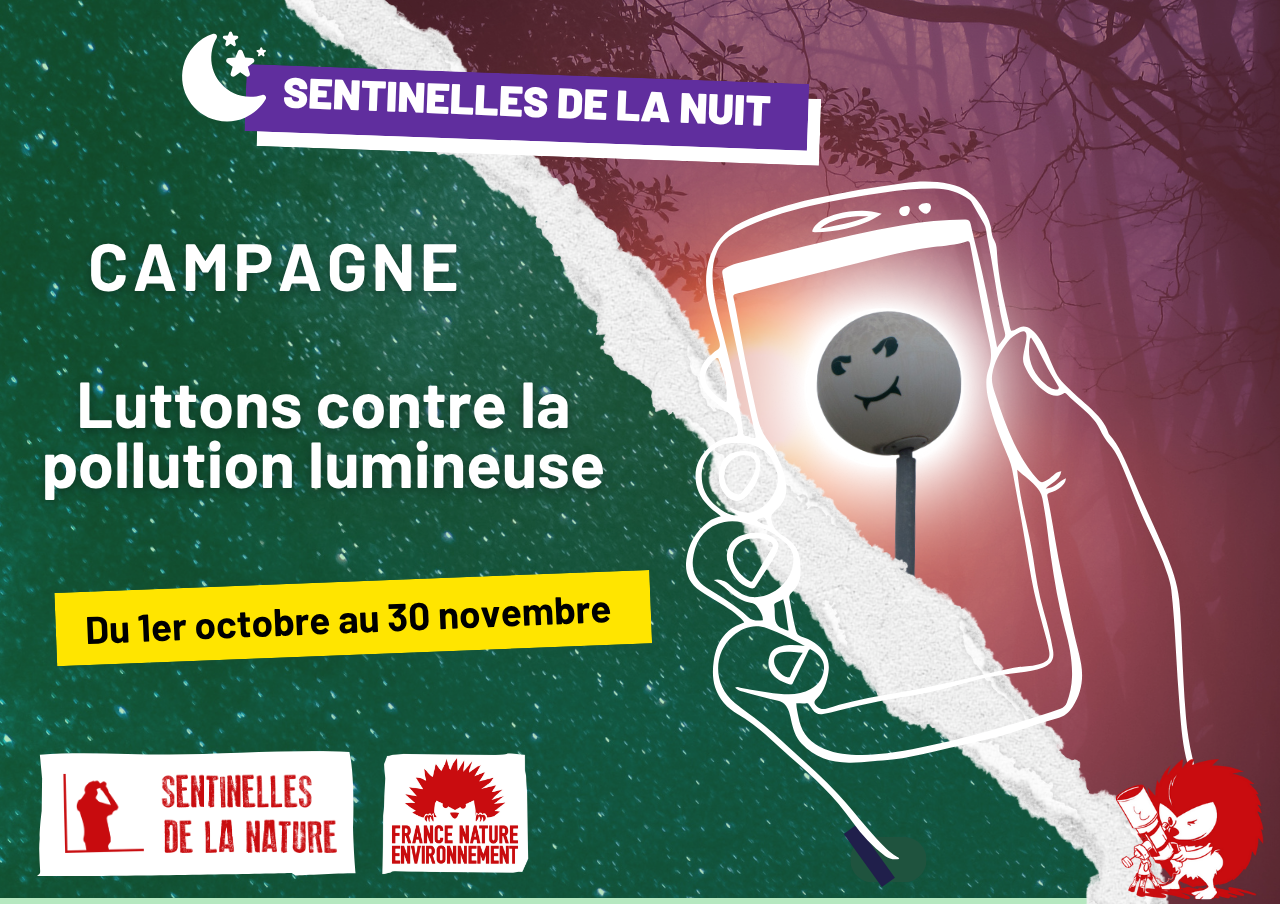 Hérissons-nous ! Notre lettre d’info n°41 – septembre 2025