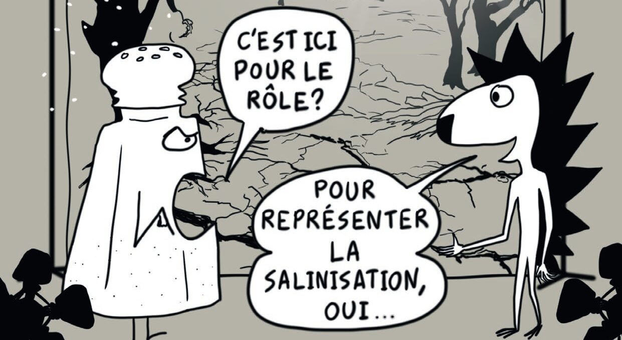 Publication de notre nouveau mini-guide sur la salinisation