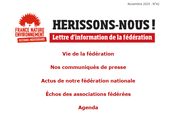 Hérissons-nous ! Notre lettre d’info n°42 – novembre 2025