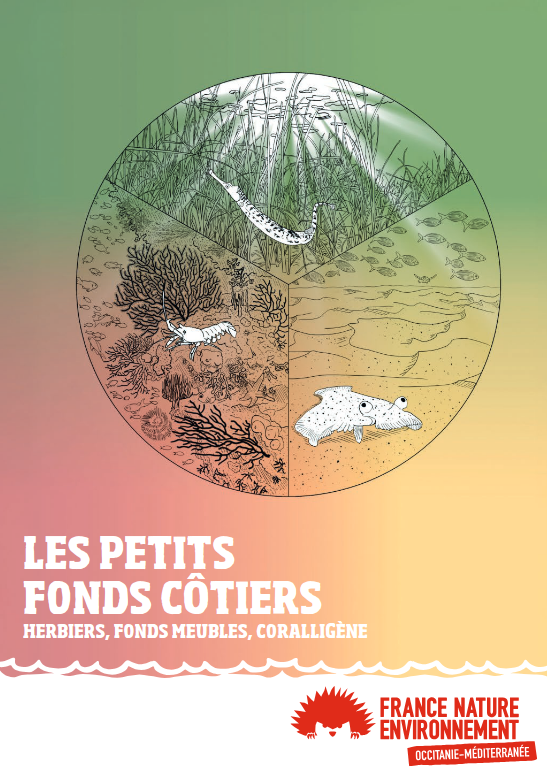 Mini-guide: Les petits fonds côtiers