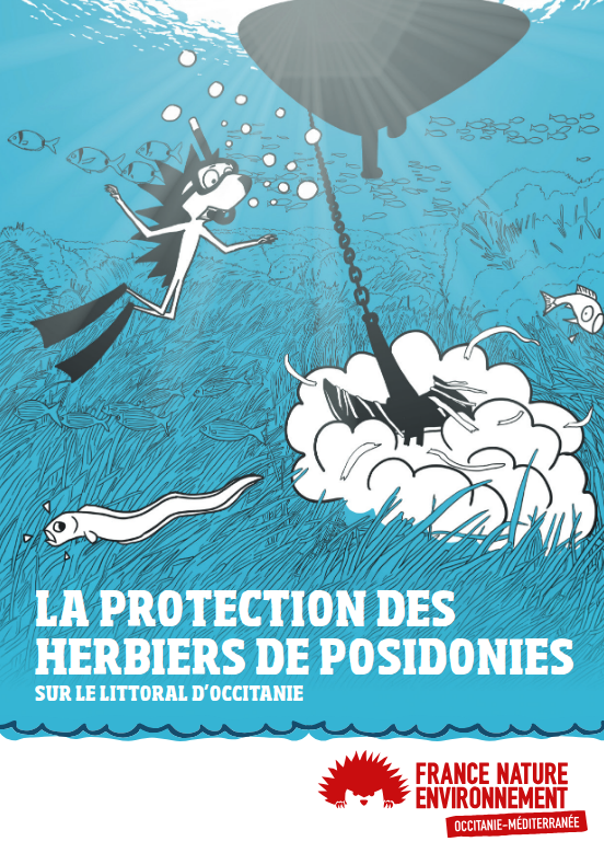 Mini-guide: La protection des herbiers de Posidonies sur le littoral d’Occitanie