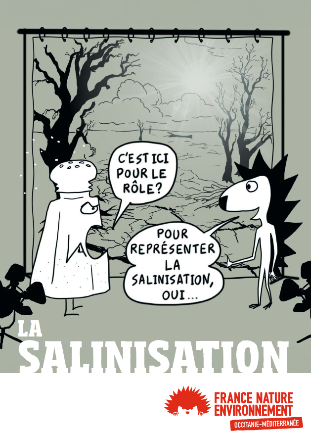 Mini-guide: La salinisation